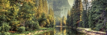 A serene river in Yosemite Valley