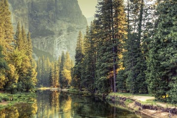 A serene river in Yosemite Valley