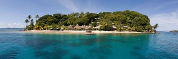 Young Island