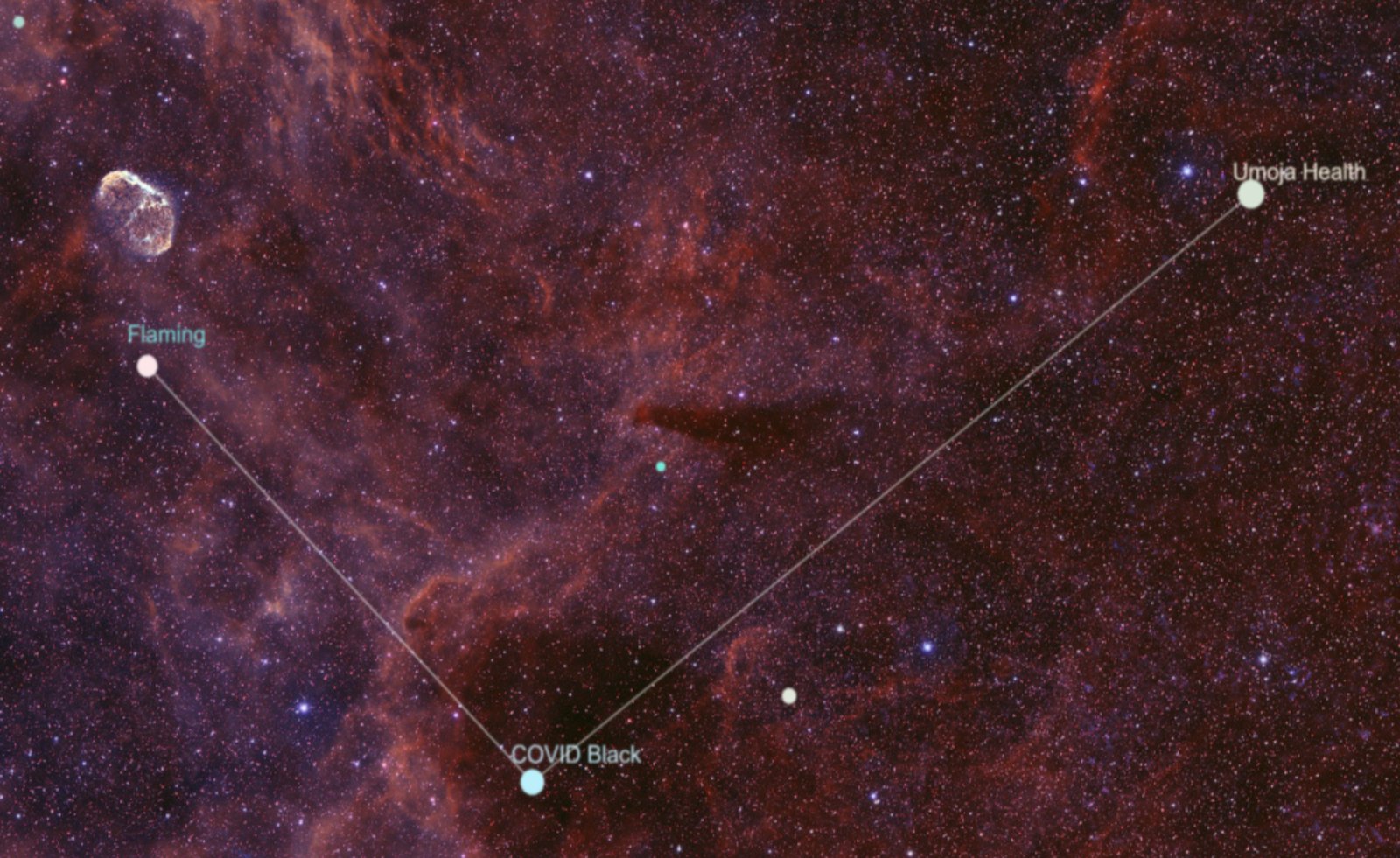 Black COVID Care - image 1