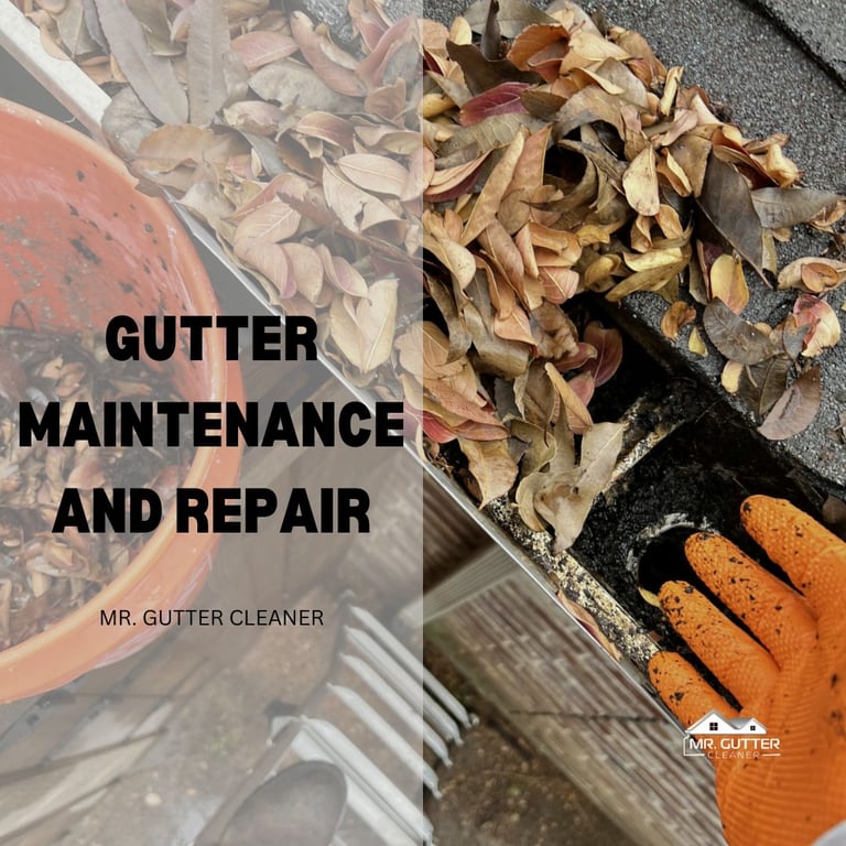 Gutter Maintenance And Repair