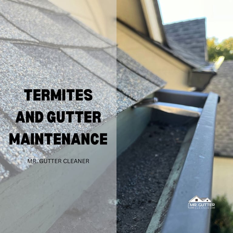 Termites and Gutter Maintenance