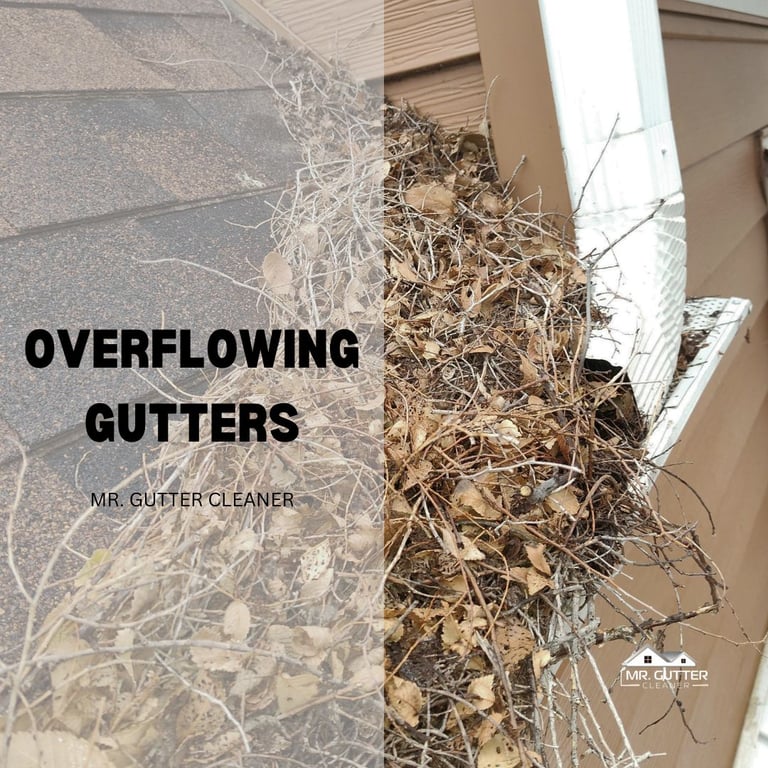 Overflowing Gutters