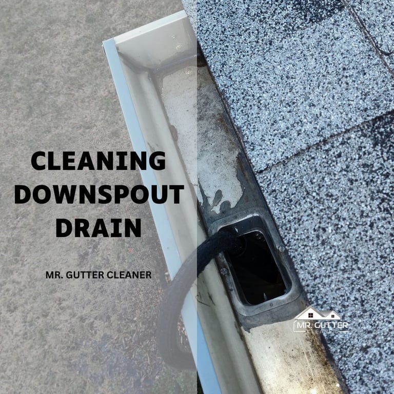 Cleaning Downspout Drain