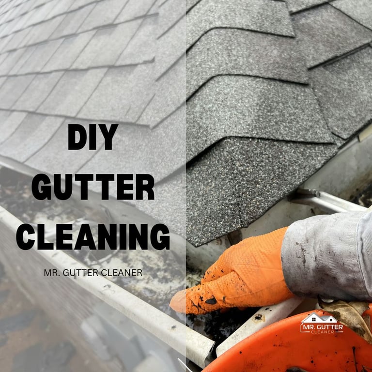 DIY Gutter Cleaning Is Not Advisable