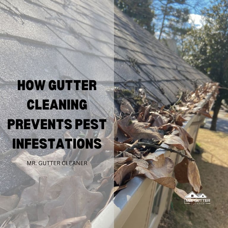 How Gutter Cleaning Prevents Pest Infestations