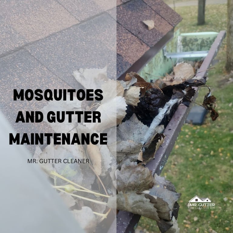 Mosquitoes and Gutter Maintenance