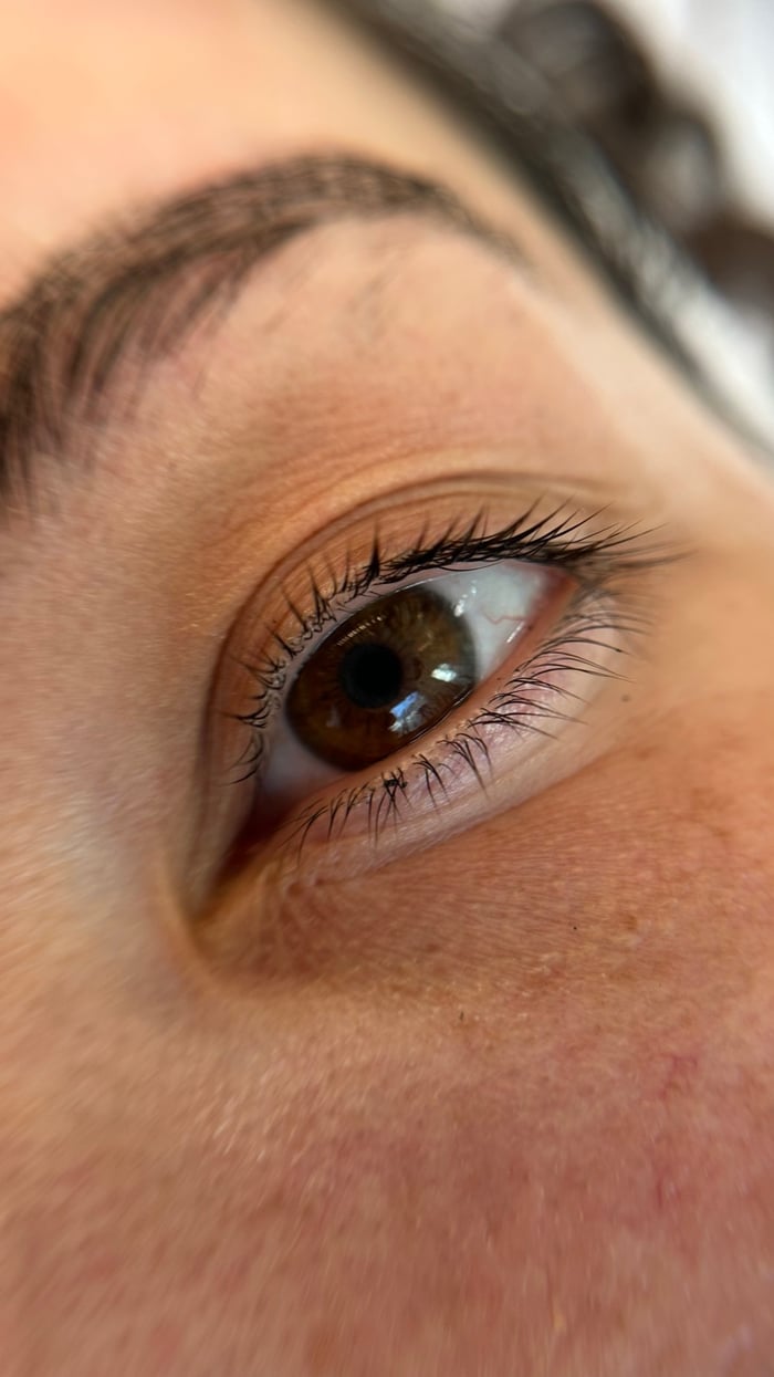 Nahaufnahme eines braunen Auges mit natürlich gelifteten Wimpern