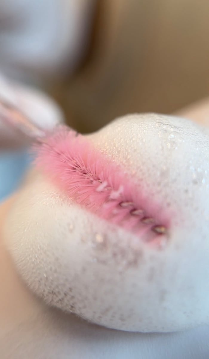 Lash Lift Behandlung mit rosa Bürstchen und Reinigungsschaum