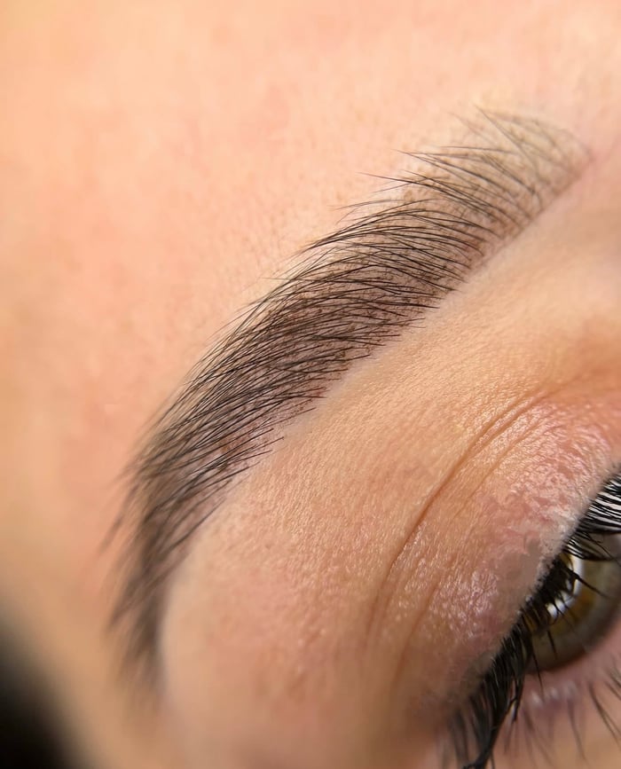 Powder Brows in Taupe, Makro-Nahaufnahme einer perfekt geformten Augenbraue
