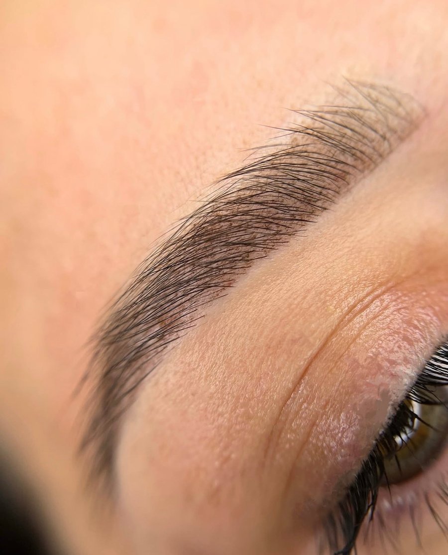 Powder Brows in Taupe, Makro-Nahaufnahme einer perfekt geformten Augenbraue