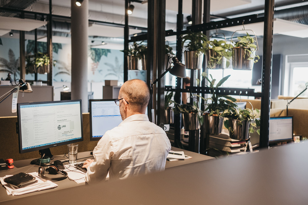 Modernes, begrüntes Büro bei Agorando