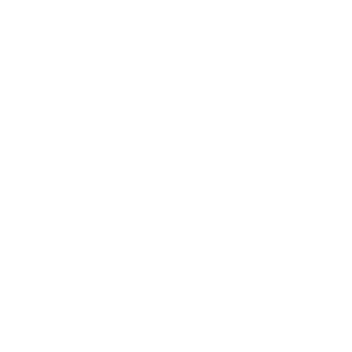 Toys "R" Us