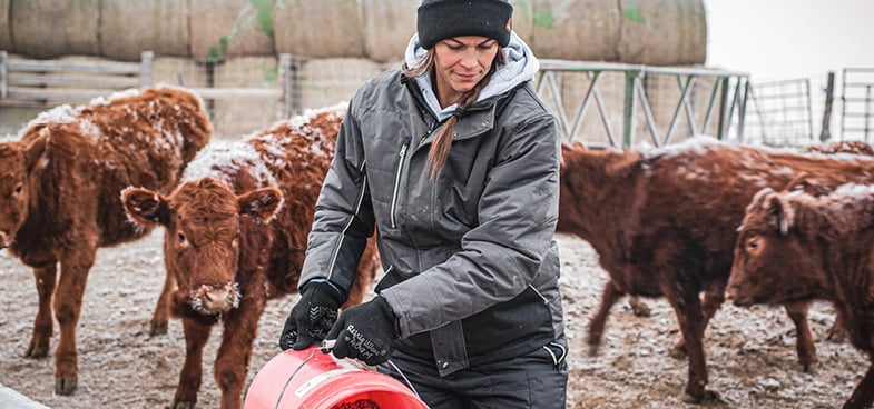 Woman feeding cows in the snow wearing RefrigiWear