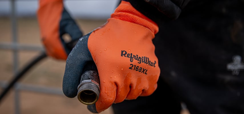 Refrigiwear waterproof gloves