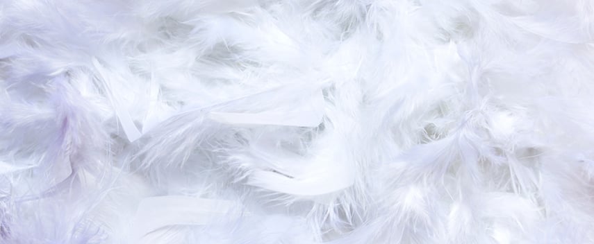 Down is a type of natural insulation made from goose or duck feathers.