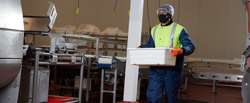 Man working in a food processing plant wears waterproof gloves and insulated  work jacket.
