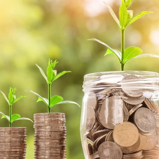 Money Grows Money 