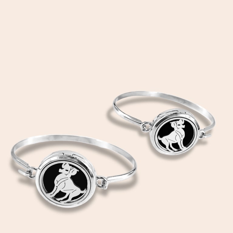 Fotografía de Pulsera para Aromaterapia de Acero Inoxidable