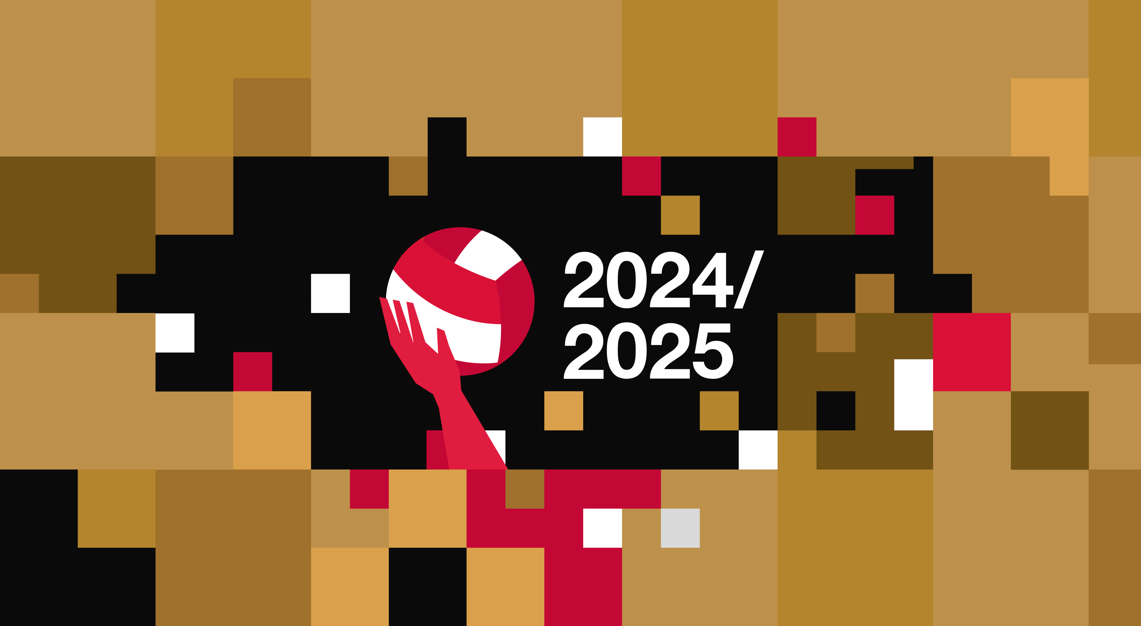 Podsumowanie Sezonu Polskiej Ligi Siatkówki 2024/2025 - NFT
