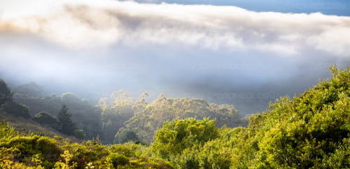 Picture of sun peering through clouds onto a group of trees during sunset at Tennessee Beach, California.