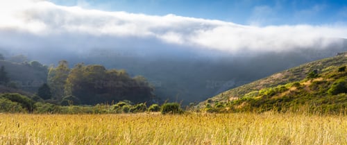 Picture shot in wide angle of a Tennessee Valley Wheat Filled Meddow with Rolling Evening Clouds at Tennessee Beach, California.