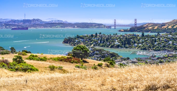 Picture of Belvedere, California, Golden Gate Bridge and Large Passing Ship from St Hilary's Preserve