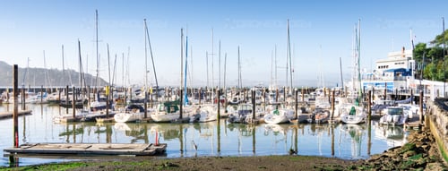 Picture of Corinthian Yacht Club Sailboats in Tiburon, California.