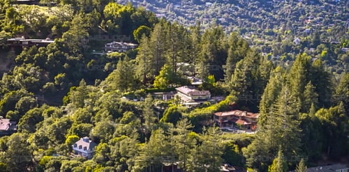 Aerial Picture of Kent Woodlands hillside homes, in Kentfield and Ross in the Background in Marin, California.