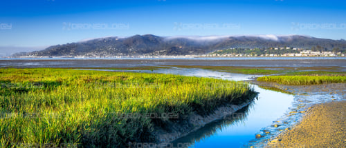 Picture of Sausalito at Richardson Bay shoreline taken from Blackies Pasture, California.