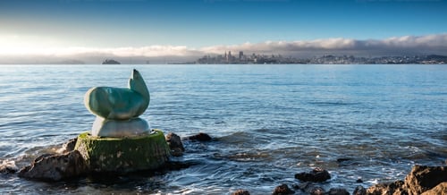 Picture at Sunrise of Sea Lion Sculpture on shoreline with view of San Francisco across the bay in the background taken in Sausalito, California.