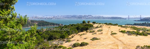 Picture of Tiburon Overlooking San Francisco and Golden Gate Bridge