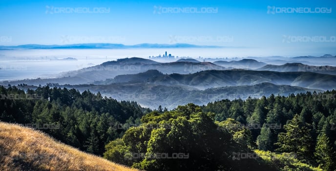 Picture of San Francisco from Marin in the Golden Gate National Reacreation Area