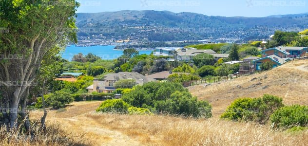 Picture of Tiburon Homes Overlooking Sausalito, California and Richardson Bay