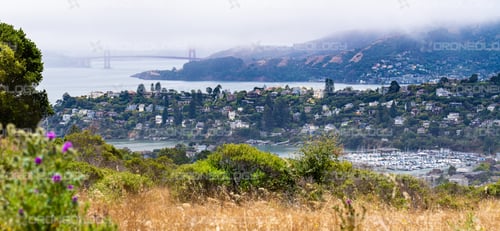 Picture of Belvedere Tiburon with fog over the Golden Gate Bridge