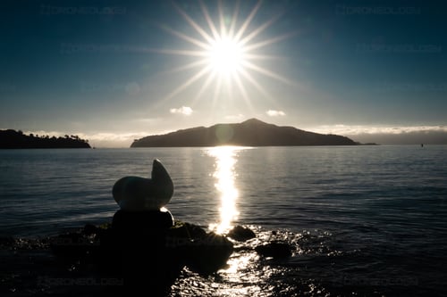 Picture at Sunrise of Sea Lion Sculpture on shoreline in Sausalito, California.