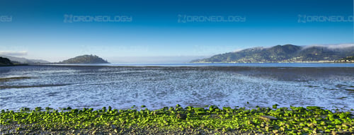 Picture of green rocks with Belvidere Island and Sausalito at Richardson Bay shoreline taken from Blackies Pasture, California.