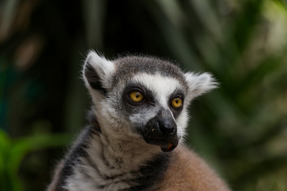 Adopt an Endangered Animal