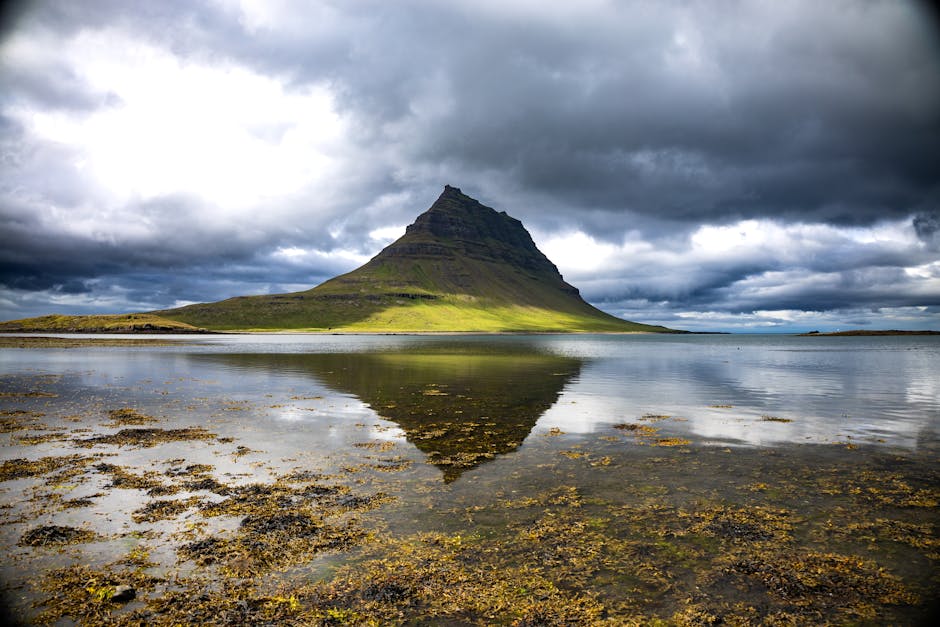 Attend a Highland Games