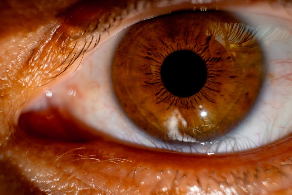 Become an Organ Donor