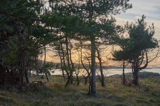 Capture a Perfect Sunset