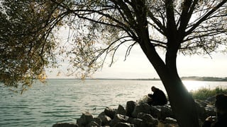 Complete a Meditation Retreat