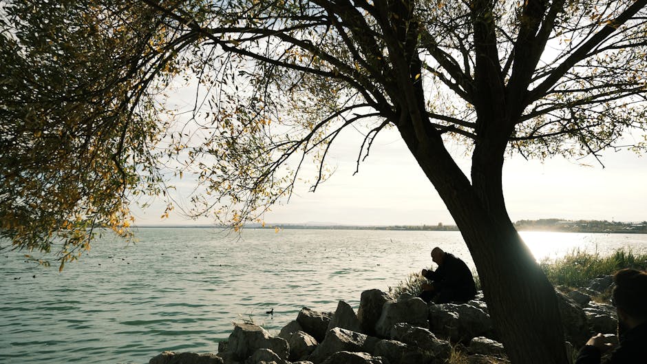 Complete a Meditation Retreat