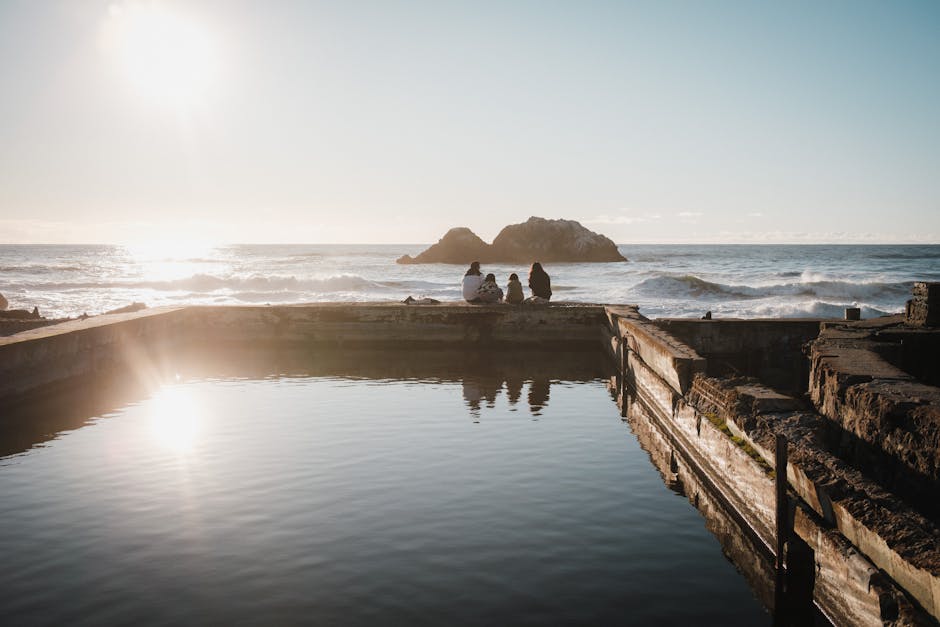 Explore Tide Pools at Low Tide