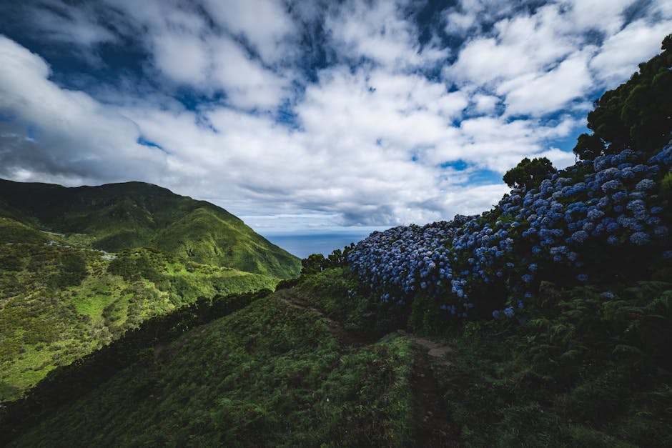 Explore Valley of the Kings