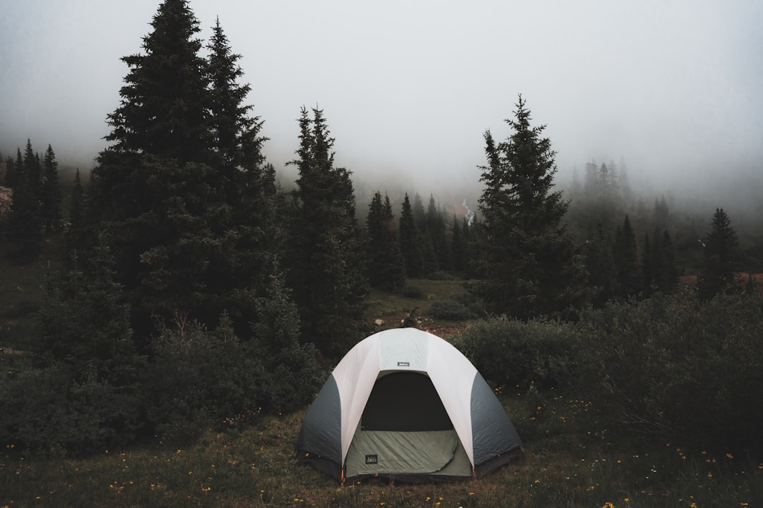 Go Camping in the Wilderness