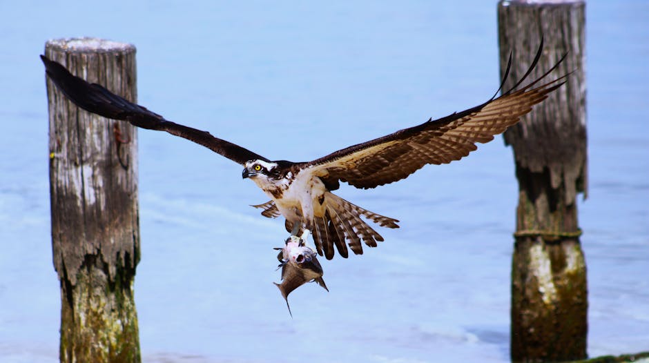 Go Fishing in Different Countries