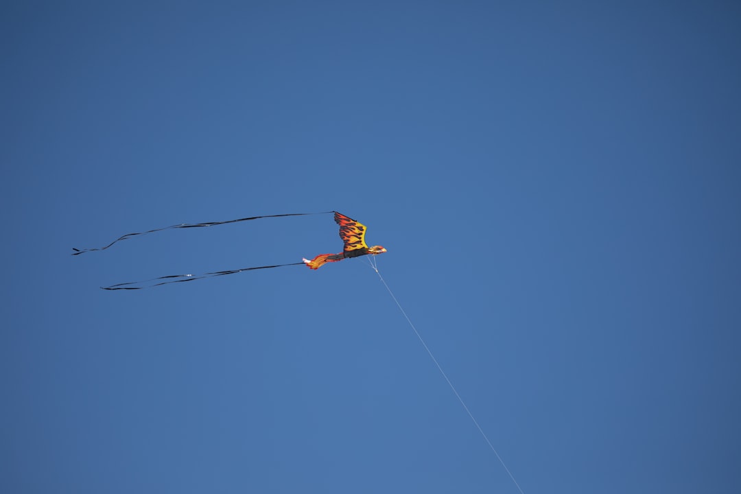 Go Heli-Skiing