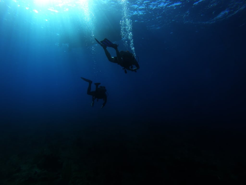 Go Scuba Diving