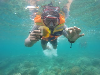 Go Snorkeling